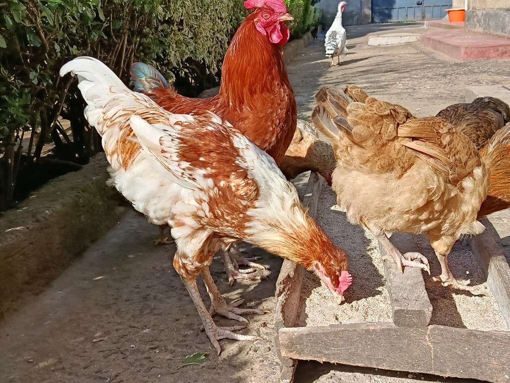 The Skip Button: Why That One Annoying Chore Always&nbsp;Wins